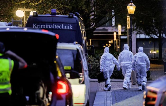 Man drives into busy crowd in Germany, killing two