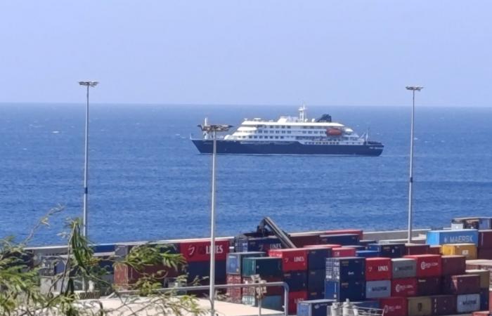 Two cases of hantavirus on ship likely to be rare variant that spreads human-to-human