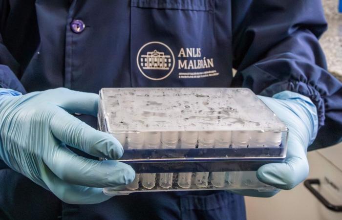 Cruise ship hantavirus scare revives memories of deadly Argentina ‘super-spreader’ outbreak