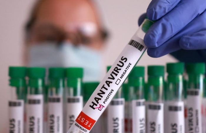 WHO confirms six hantavirus cases linked to cruise ship outbreak, three deaths reported