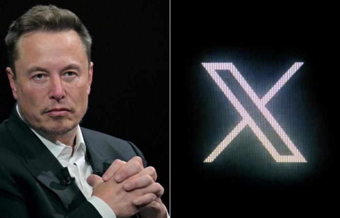 ‘They’re faker than a chocolate euro’: Musk faces fresh complaint after attacking French prosecutors probing X