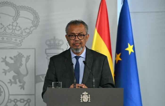 ‘Our work is not over’: Hantavirus remains contained, urges countries to ‘follow advice’, says WHO chief