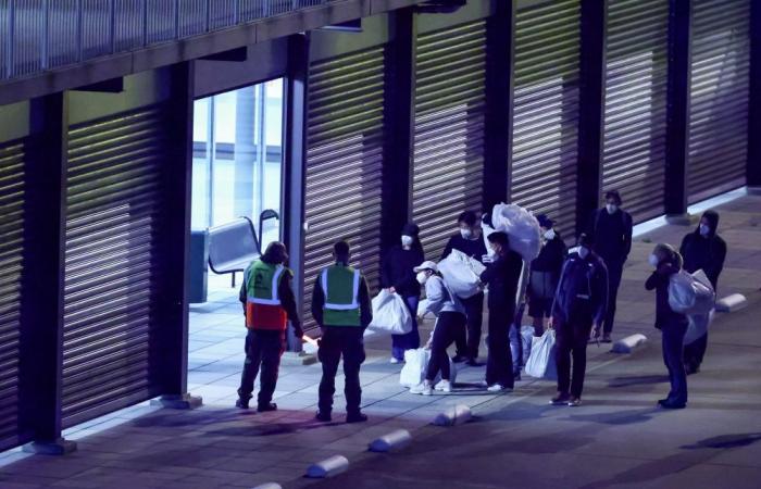 Breach of protocol: Dutch hospital quarantines 12 workers after hantavirus samples from cruise ship patient mishandled