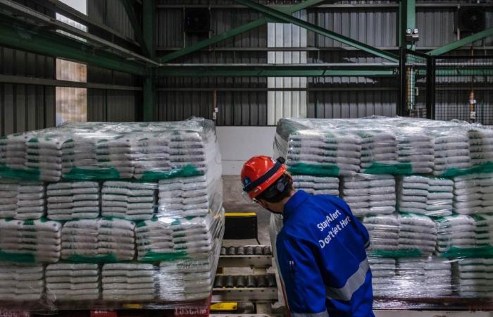India imposes immediate sugar export ban amid concerns over tighter domestic stocks