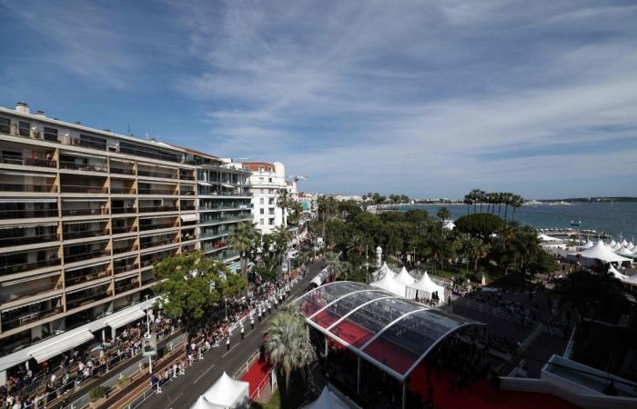 Climate activists urge Cannes stars to ditch private jets amid global fuel crisis