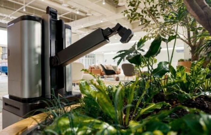 Hyundai Motor deploys gardening, delivery and security robots at Seoul HQ amid AI push