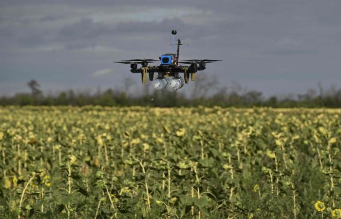 Sci-fi or battlefield reality? Ukraine explores AI‑driven drone swarms to offset Russia’s manpower edge