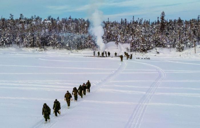Canada deepens Arctic defence ties with Nordics after Trump threats
