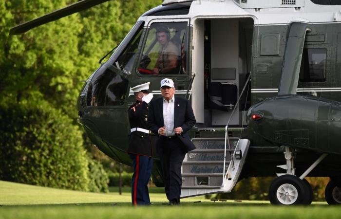 US and Nigerian forces killed ‘most active terrorist in the world’, says Trump