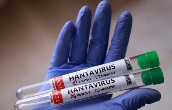 Canadian cruise passenger ‘presumptive positive’ for rare human-to-human hantavirus after MV Hondius outbreak