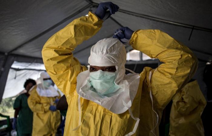 Ebola outbreak: Bundibugyo strain has up to 50pc lethality rate with no vaccine or treatment, says DR Congo minister