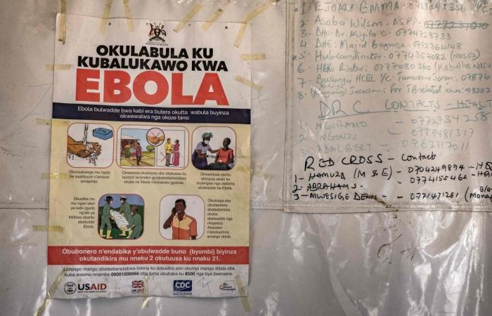 WHO chief raises alarm over ‘scale and speed’ of Ebola outbreak