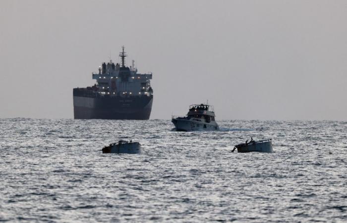 Israel brings in 430 Gaza flotilla activists after intercepting vessels
