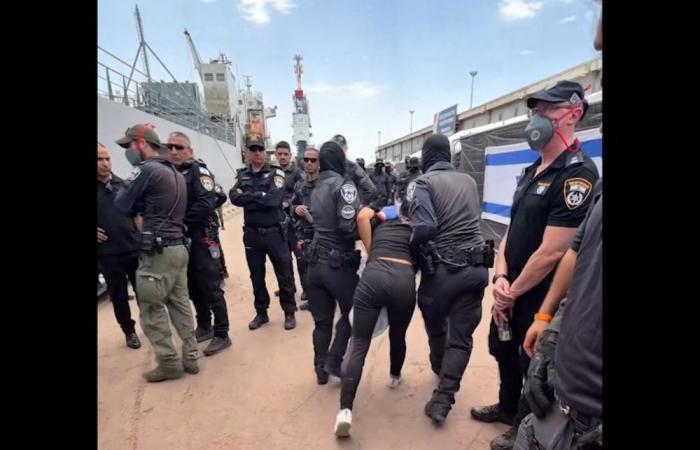 ‘We’re going to carry on’: Battered Gaza flotilla activists vow return after violent interception