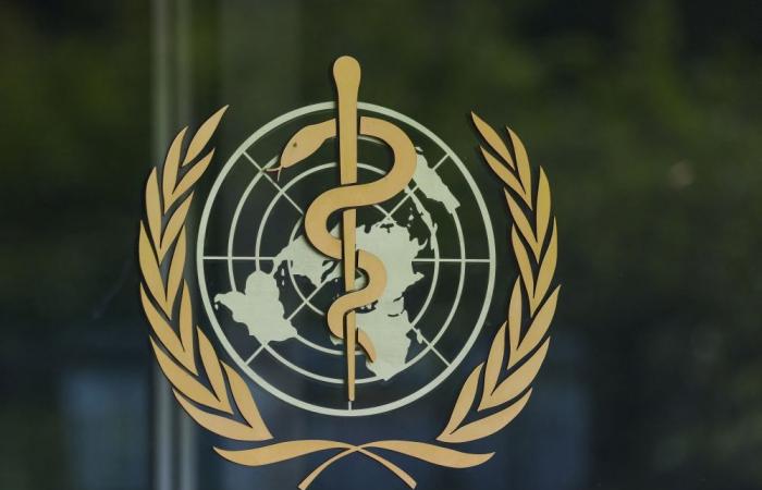 WHO: New hantavirus case confirmed in Netherlands crew member