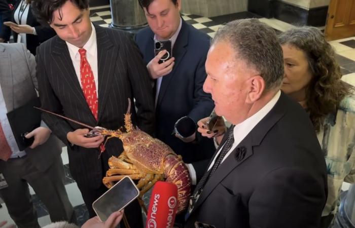 ‘It’s still moving’: Live crayfish steals spotlight at New Zealand parliament press conference (VIDEO)