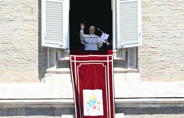 Popes having their say on turning points in history