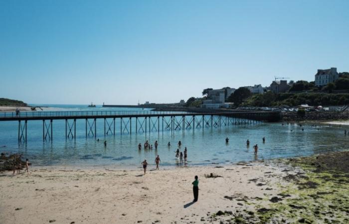 Five drown as heatwave sends French crowds rushing to beaches