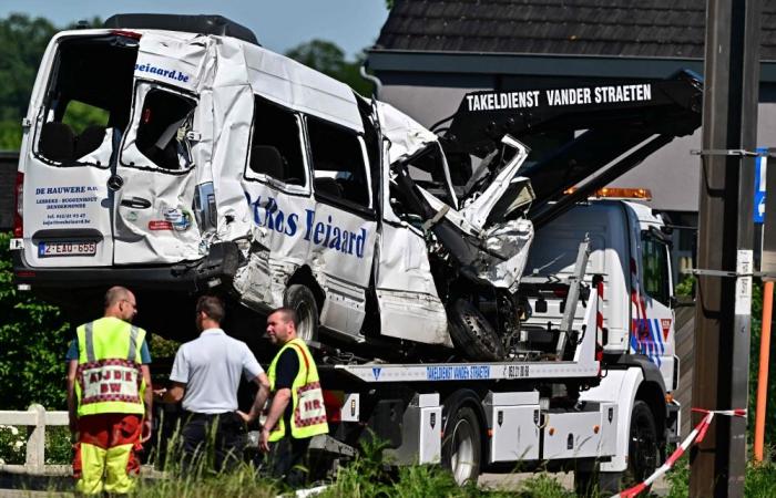 Four killed after train crashes into school minibus at Belgian rail crossing