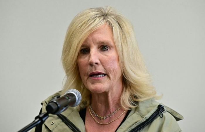 Activist Erin Brockovich takes on US Big Tech’s data centre boom