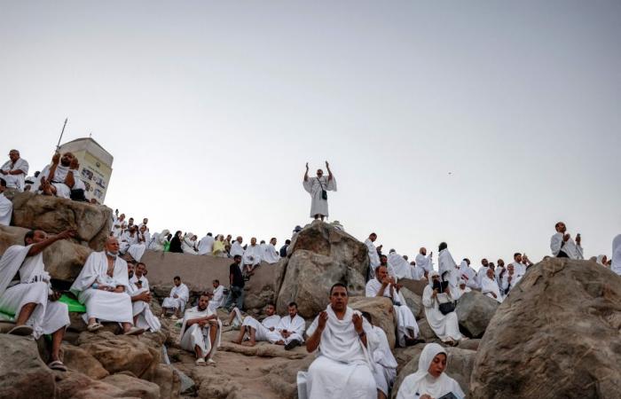 More than 1.7 million pilgrims converge on Mount Arafat for climax of Haj