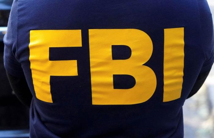 Ex-CIA official arrested after FBI finds US$40m in gold bars at Virginia home