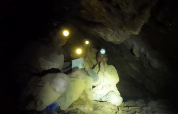International specialist divers join ‘extremely challenging’ rescue bid for seven trapped in Laos cave
