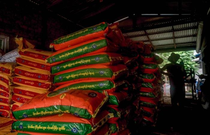 Myanmar rice farmers struggle as fertiliser prices soar and fuel supplies tighten