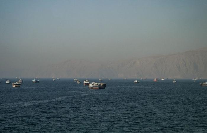 IMF, World Bank, IEA chiefs warn of summer fuel scarcity if Hormuz remains closed