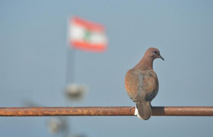 With Unifil’s mandate expiring, Lebanon scrambles for a peacekeeping alternative