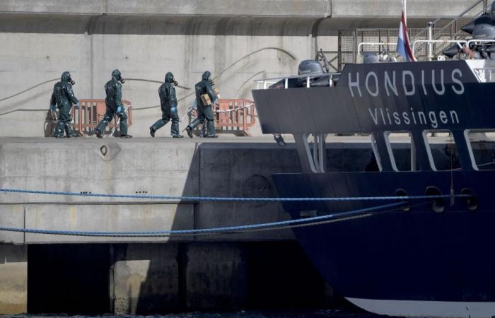 Hondius resumes voyages after hantavirus deaths, Rotterdam inspectors say ship disinfected and safe