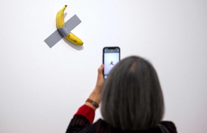 French museum reports theft of arty banana
