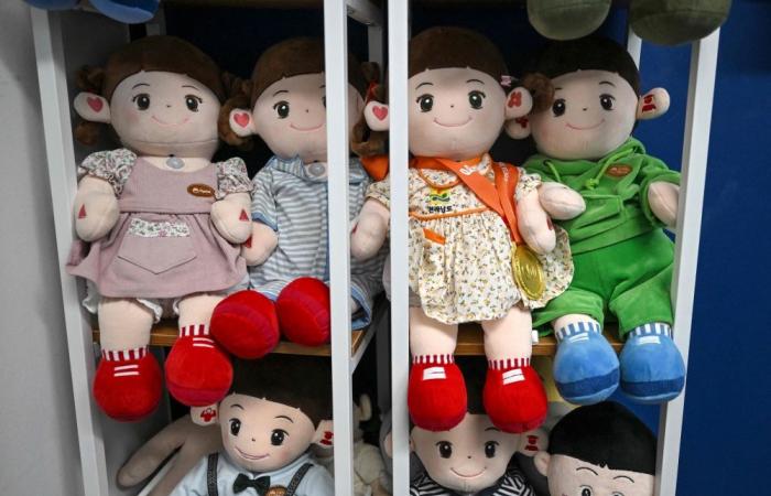 South Korea turns to AI dolls to combat elderly loneliness