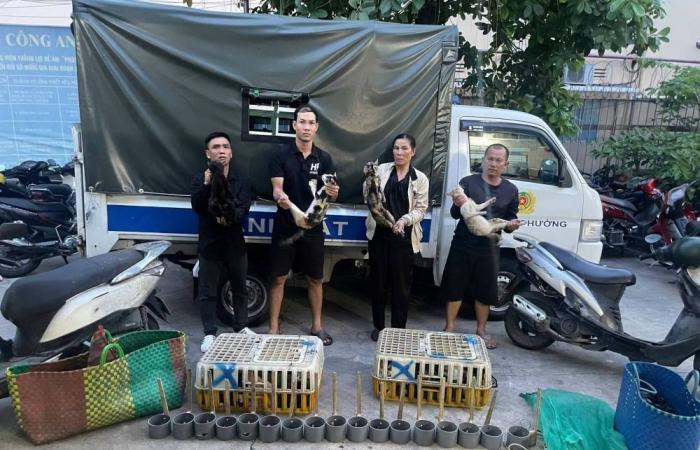 Vietnam police rescue 400 cats from cat-meat theft ring as dozens reunited with owners