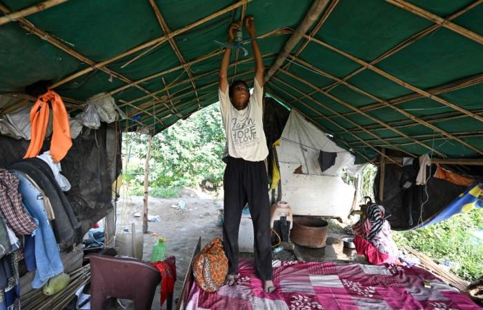 ‘Every year the heat is increasing’: Rising temperatures reshape daily life in India