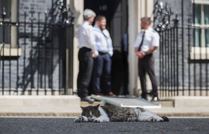 Is Keir Starmer resigning? How Andy Burnham could be UK’s seventh PM in 10 years