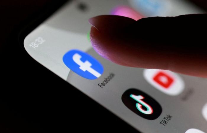 Tech and telecom giants deploy AI to fight illegal wildlife trade, United for Wildlife says