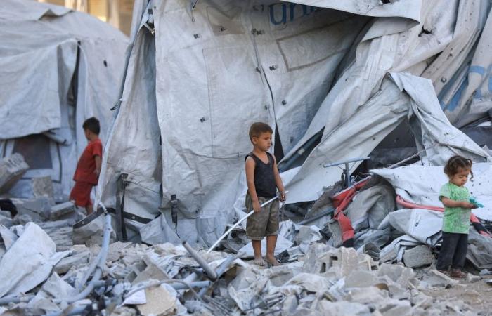 UN investigators: Israel ‘deliberately targeting’ Palestinian children as part of Gaza ‘genocide’