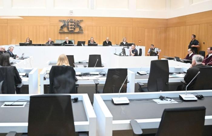 Chinese women pack German court in shocking ‘Driving School’ rape network trials