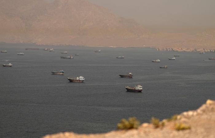 UN maritime agency pauses Strait of Hormuz escort operation after ship hit in suspected attack