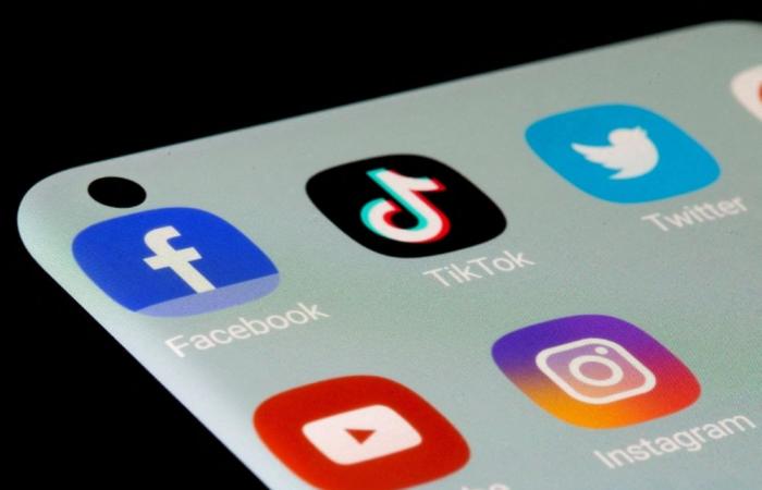 TikTok, YouTube deactivate 4.7m child accounts in Indonesia as social media curbs take effect