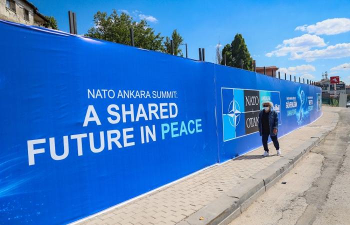Gold charts and marble palaces: Nato’s plan to keeping Trump happy in Ankara
