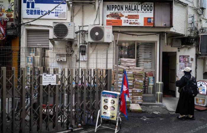 ‘My dream is broken’: Japan’s tougher visa rules leave foreign business owners fearing deportation