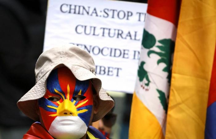 China enacts controversial ethnic unity law despite global backlash