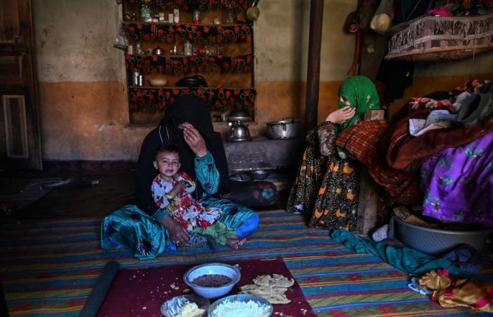 Against the odds: Afghan women farmers keep remote village alive under Taliban rule