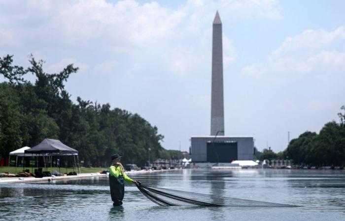 Washington grand jury indicts 67‑year‑old ex-Olympian for Reflecting Pool vandalism, maximum penalty 10 years