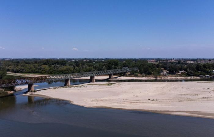 No rice, no life: Italian farmers fear another devastating drought as heatwave dries up paddies