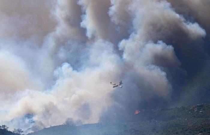 Wildfires rage across France, Spain and Portugal as Europe braces for fresh heatwave