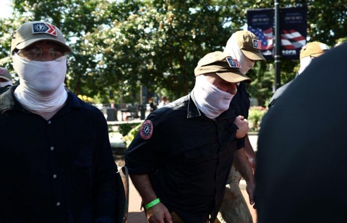 White supremacist march in DC just ‘messy’ democracy, official says
