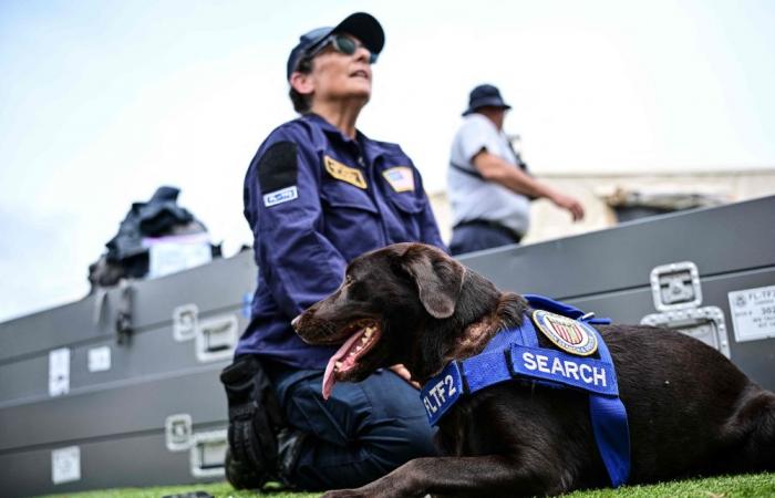Four‑legged rescuers bring hope — and moments of joy — amid devastation in Venezuela